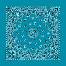 Bandana 100 Cotton Paisley Print Double-Sided Scarf Head Neck Face Mask 22"X22"