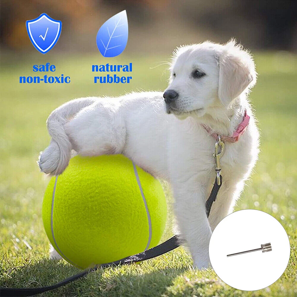 Ball thrower sale for big dogs