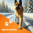 Bild 4 von 6