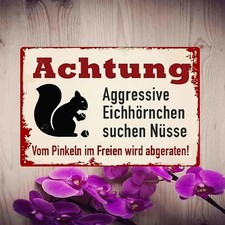 Blechschild Aggressive Eichh&ouml;rnchen suchen N&uuml;sse Vintage Metallschild TEL2554