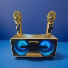 New MASINGO Karaoke Machine for Adults  Kids 2 Wireless Microphones Presto G2