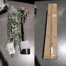 Pre-Owned Faux Olive Tree 6.9ft Artificial Indoor with Leaves and Fruits Home