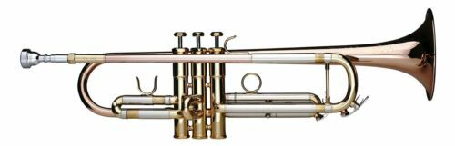 Bocchino Per Tromba Vincent Bach Serie 351 Modello 1C - Placcato Argento, Tazza Media, Diametro 17 Mm