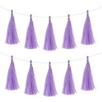 25Stk Hell Lila Quaste Girlande Banner Mit Seil Seidenpapier Quasten
