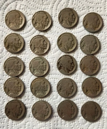 lot of 20 Buffalo Indian head nickle 1920 1923 1925 1928 1934 1935 1937 dateless