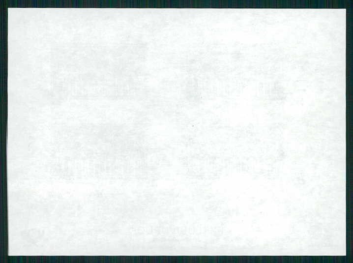 GERMANY EXKLUSIVDRUCK EXCLUSIVE PRINT S/S 2008 ART JAMES RIZZI CATS RARE!! h6725