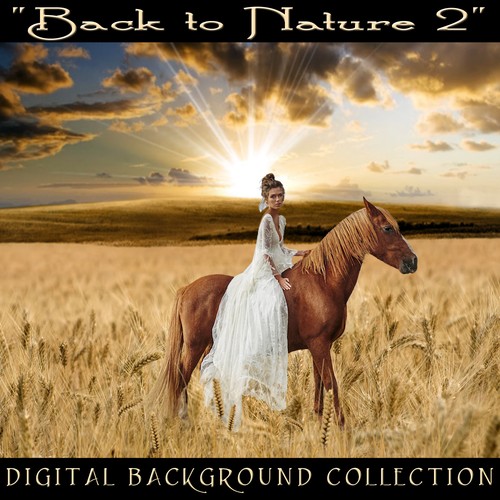 Digital Backgrounds Photo Overlays Sandwich Layered Props Nature Backdrops 1Q2 - Picture 12 of 12