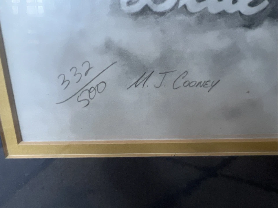 Impresión Blue Angels firmada por M.J. Cooney "In Flight" 332/500 años 70-90 certificado de autenticidad Foto 4 de 4