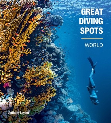 GREAT DIVING SPOTS WORLD by LEYDET, ANTHONY Hardback Self Help Business