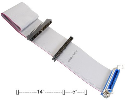 19'' CN50 50-Pin Female to 2x IDC50 50-Pin Male Ribbon Cable