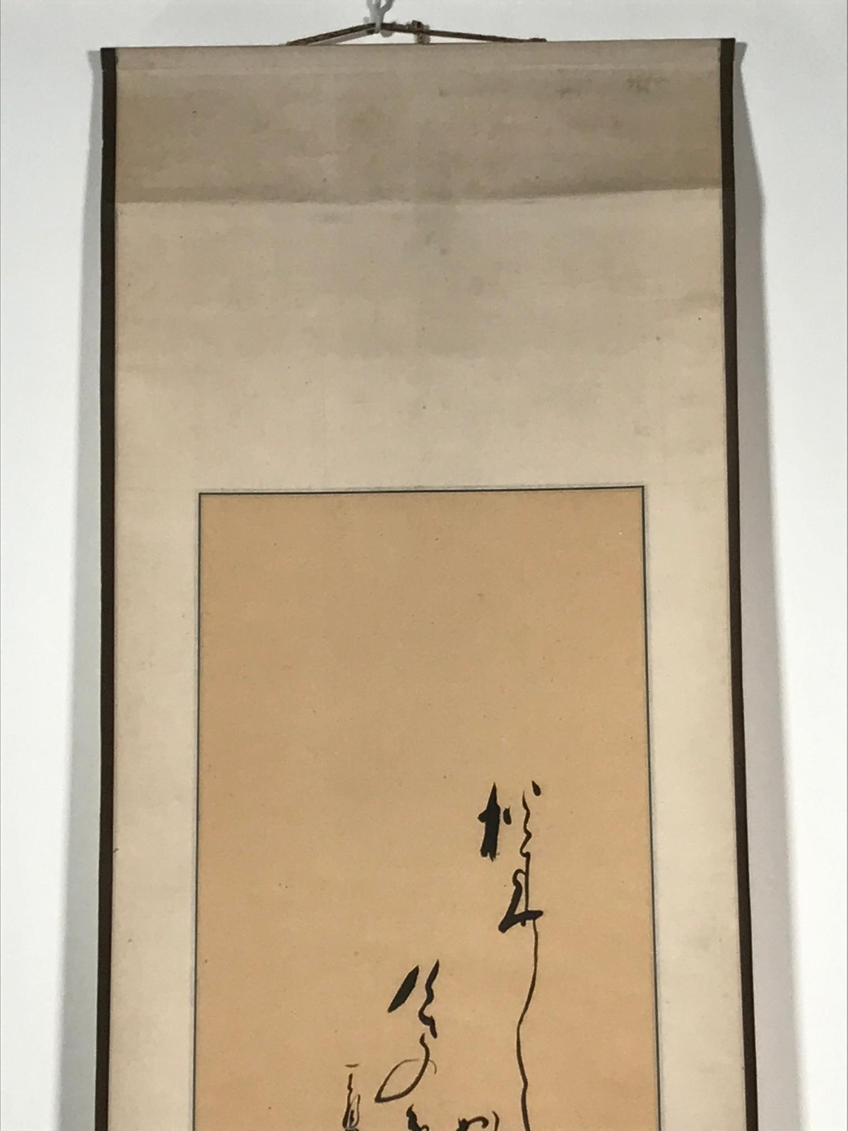 Picture 6 of 12