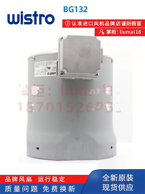Original imported German Wistro motor BG132 #F19