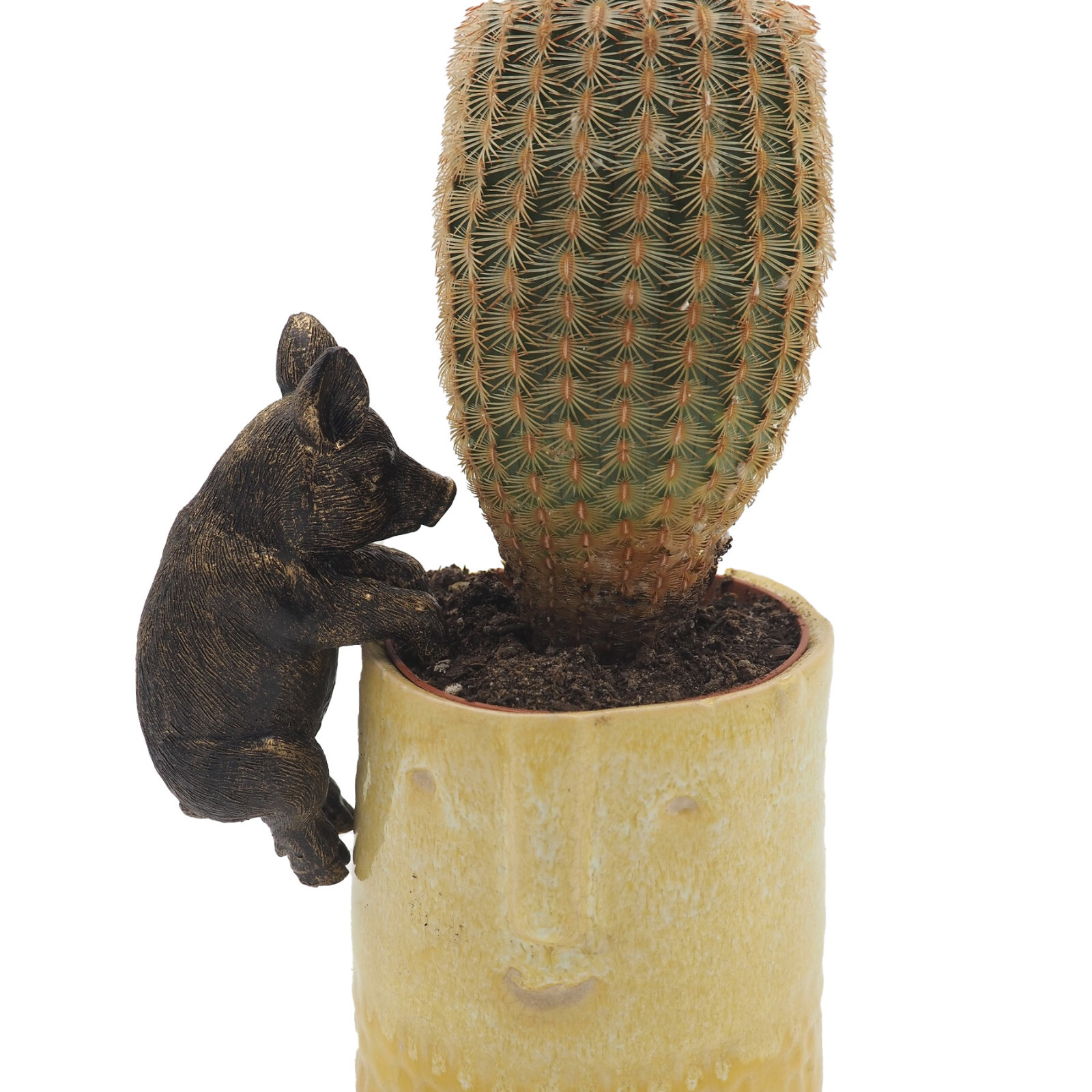 Plant Pot Buddy Garden Figure Hanging Decorative Ornament Pig Pot Buddies