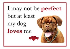 Funny My Dog Loves Me Bullmastiff Dog Vinyl Car Van Sticker Pet Animal Lover
