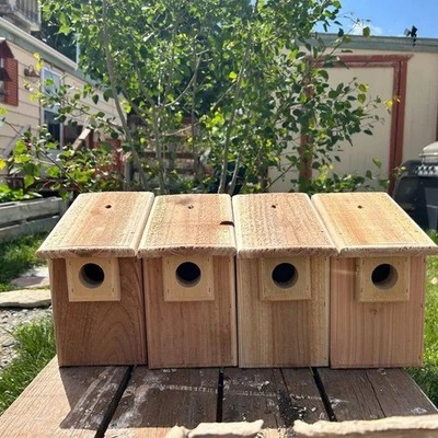 4 Brand New Cedar Bluebird Bird Houses, Natural, Easy Open & Clean