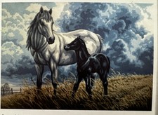 needlepoint Tapestry Gobelin L Canvas Only 60x80cm Horse With Foal 10553