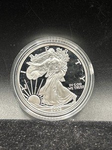 2002 American Silver Eagle $1 Dollar Silver UNC US Coin J52