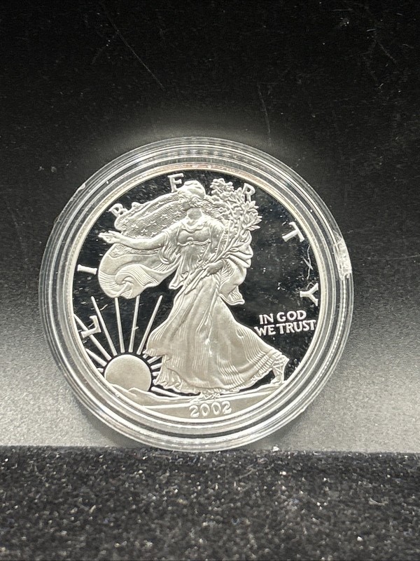 2002 American Silver Eagle $1 Dollar Silver UNC US Coin J52