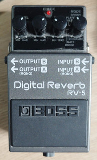 Boss RV 5 Digital Hall Gitarren Effekt Pedal für E Gitarre