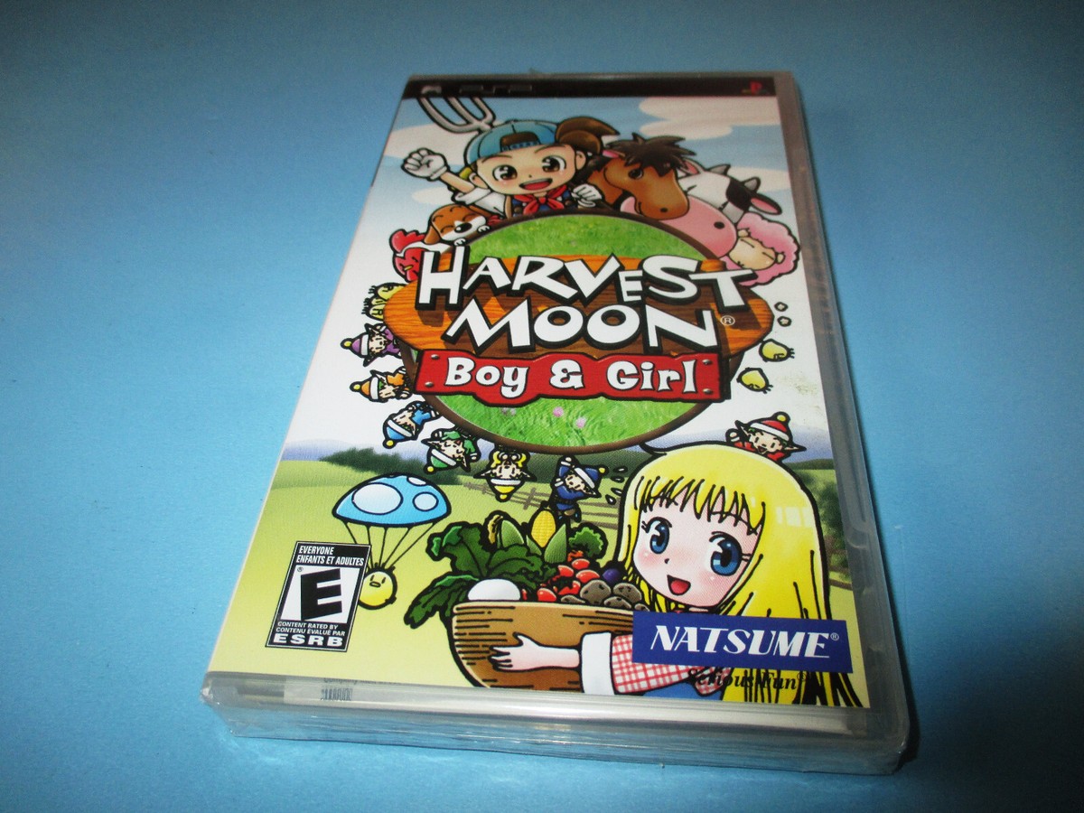 カセット12個PSP PSPと、カセット PSPとカセットのセット pspとカセット12点 ZX Touch