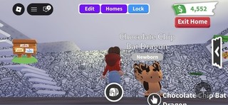 Adopt Me No Potion Chocolate Chip Bat Dragon