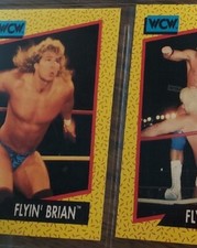 FLYIN' BRIAN PILLMAN [1991] WCW IMPEL Trading Card #56