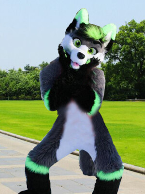 Costume Da Husky Cane Volpe In Pelliccia Lunga | Mascotte Halloween Cosplay