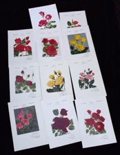 Lot of 11 Rose Gaujard Rose Reproductions American Rose Society Prints