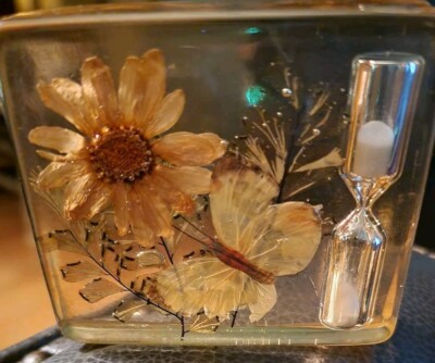 VINTAGE LUCITE  EGG TIMER WITH HOUR GLASS DRIED FLOWERS BUTTERFLY DESIGN GIFT