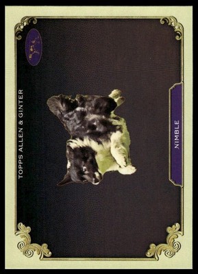 2024 Topps Allen & Ginter #SOS-34 Nimble Westminster Kennel Club