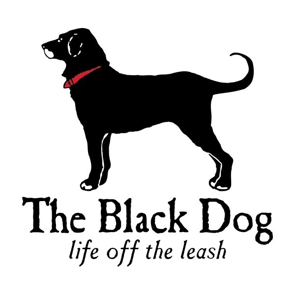 Automatic Swatch Watch Bundle Excellent condition… - image 14