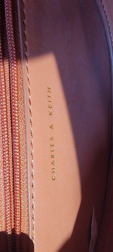 Charles and Keith | Mini borsa da sella Gabine | BlackCharles & Keith Gabine bicolore - Foto 14 di 14