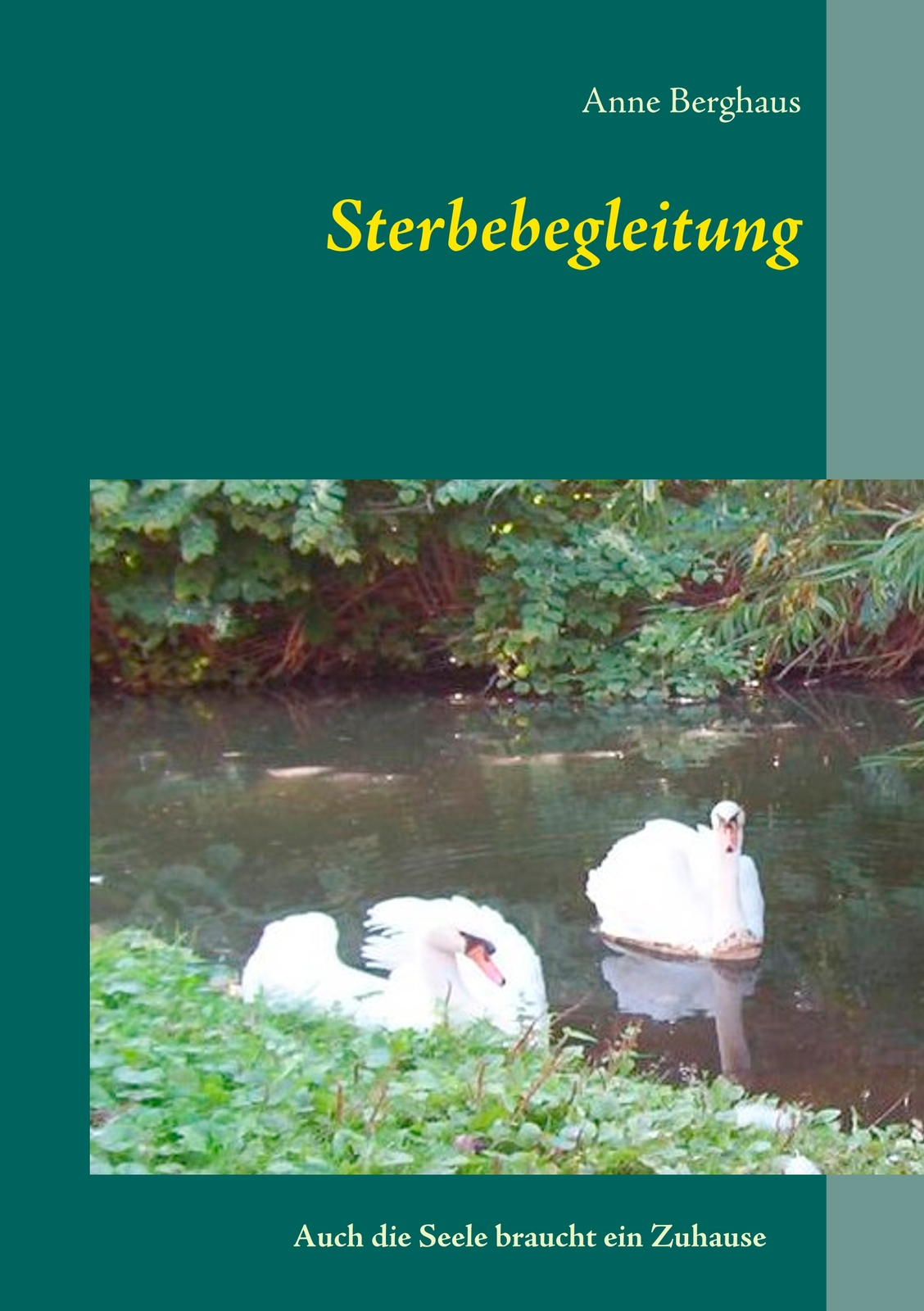 Thumbnail - Sterbebegleitung (buch)