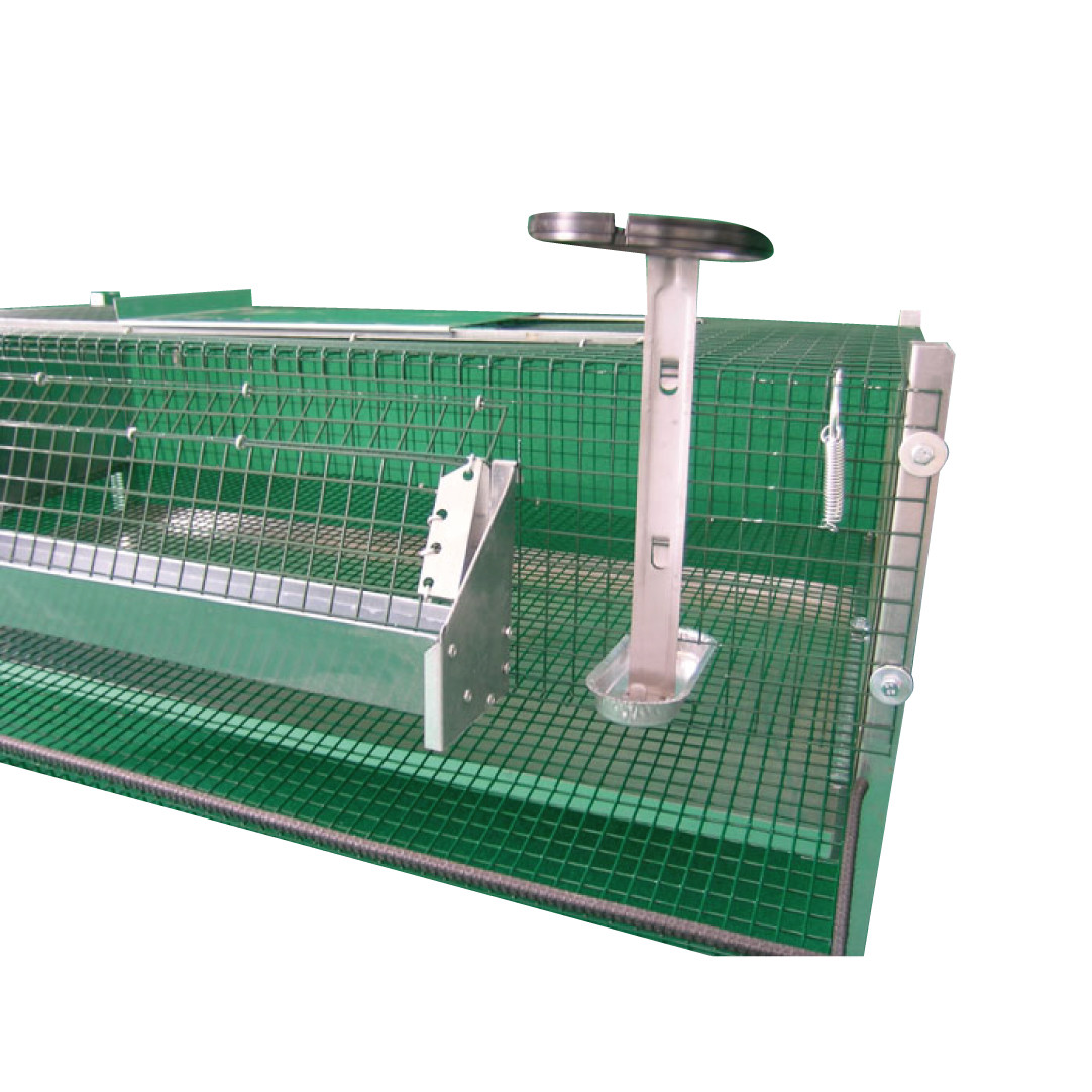 Gabbia Per Quaglie Ovaiole In Rete Zincata - Sovrapponibile Con Accessori Omaggio - Foto 13