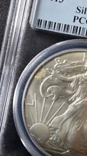 American Eagle MS 70 Graded 2013 Silver Bullion Coins for sale | eBay