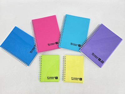 6 Lot Of Maruman Memo Septcouleur (4) B6 & (2) B7 books set - New Unused