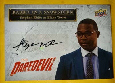   2018 UD DAREDEVIL STEPHEN RIDER AUTOGRAPH BLAKE TOWER   SS-BT