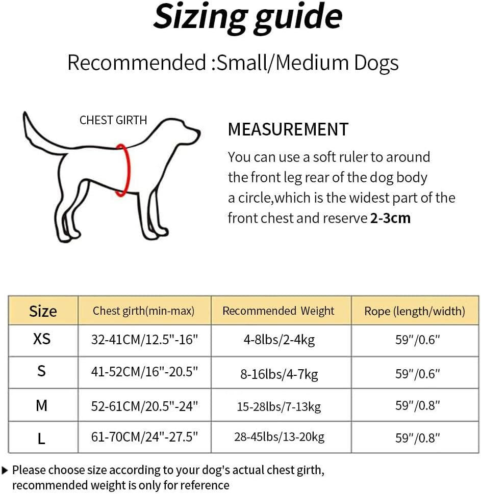 Dog Harness Set, No Pull Adjustable Step-in Collar for Dogs (M, Gray) Dog Harness Set, No Pull Adjustable Step-in Collar for Dogs (M, Gray)