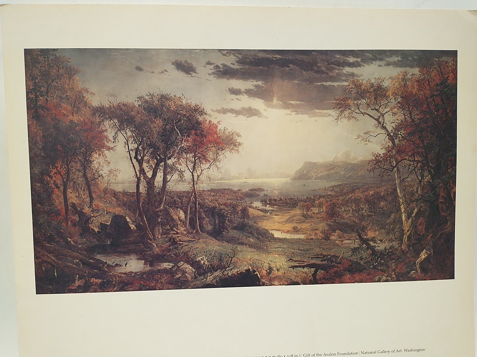 Picture 4 of 4