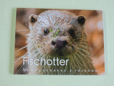 1x Postkartenbuch Fischotter  15 verschiedene Motive Postkarten Tiere Otter