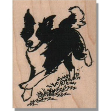 Mounted Rubber Stamp, Running Border Collie, Dog, Animal, Pet, Pup,Farm,Grass,sm