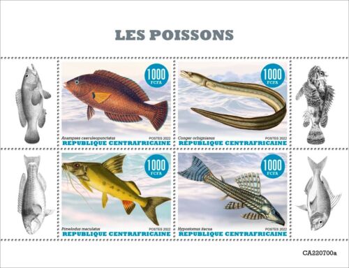 Francobolli Fishes nuovi con tecnologia 2022 Repubblica Centrafricana M/S - Foto 1 di 1