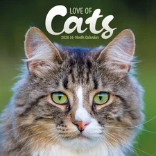 Carousel Calendars,  Love of Cats 2026 Wall Calendar, 12'' X 12'', 16-Month Cale