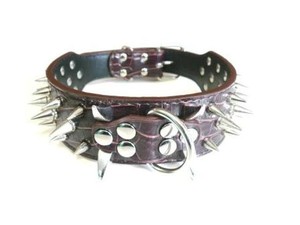 spiky collar