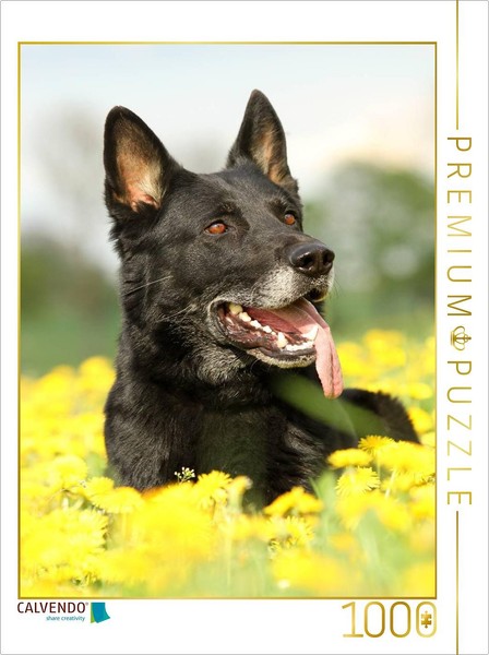 Calvendo Puzzle German Shepherd | 1000 Pieces, Finished Size 25.2 × 18.9 In (64-image
