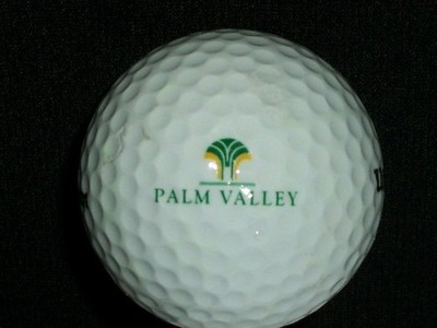 Wilson 3 Golf Ball With Palm Valley Logo
