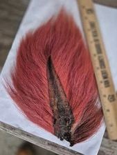 Unknown Brand   Bucktail Med 10" Off red .