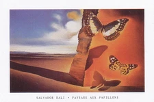 Poster Studio B - Salvador Dali Paysage Aux Papillons 23"x35" NEW Wall Art P0777