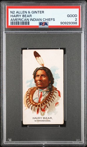 1888 N2 Allen & Ginter #24 Hairy Bear