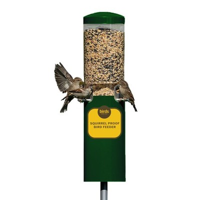 Birds Choice Classic Squirrel Proof Bird Feeder Pole